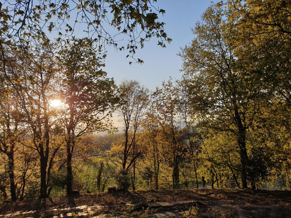 Quinta Das Essencias Penafiel Bagian luar foto